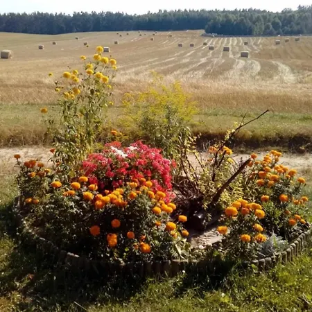 Wczasy Na Kaszubach U Hani Wiele Exterior photo
