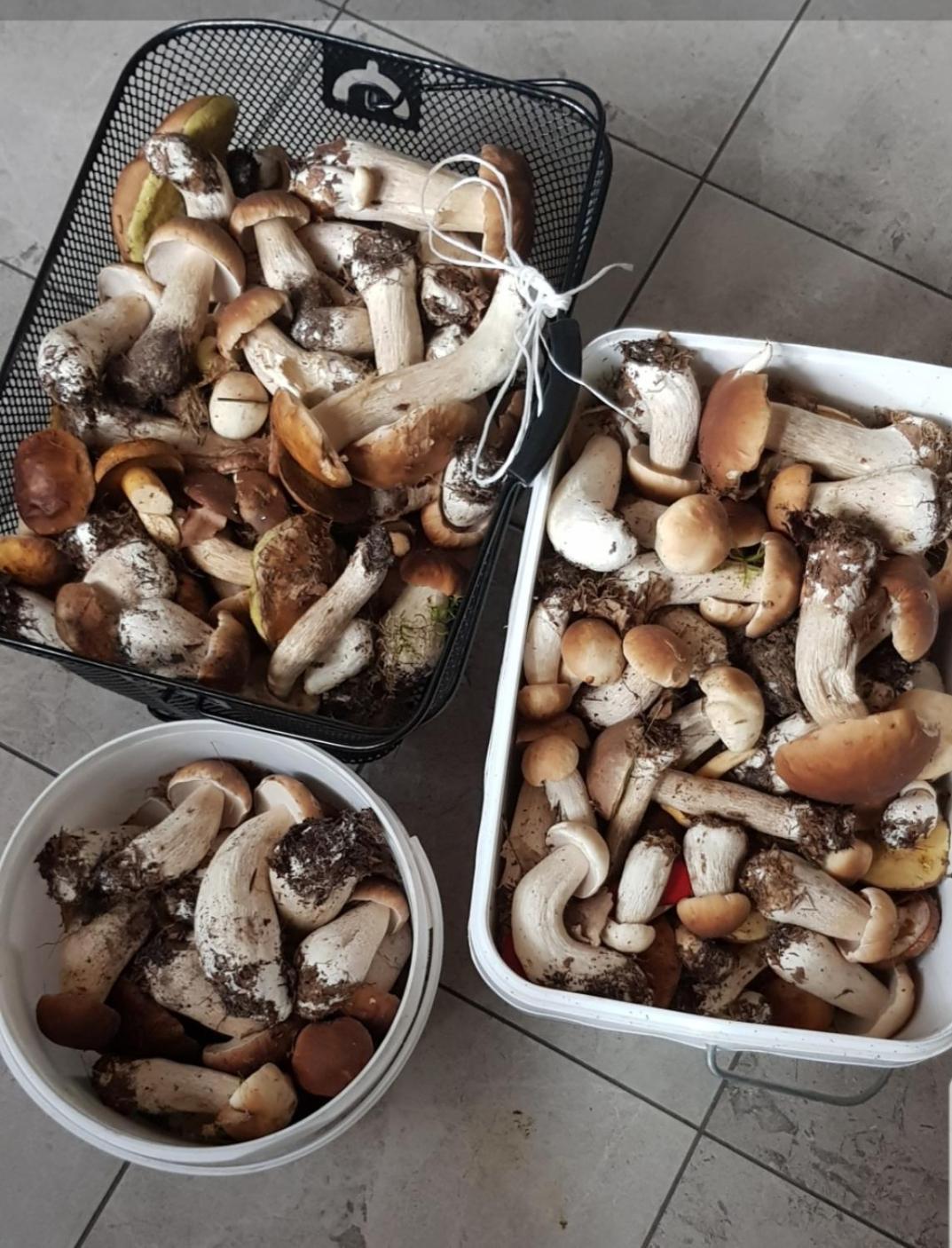 Wczasy Na Kaszubach U Hani