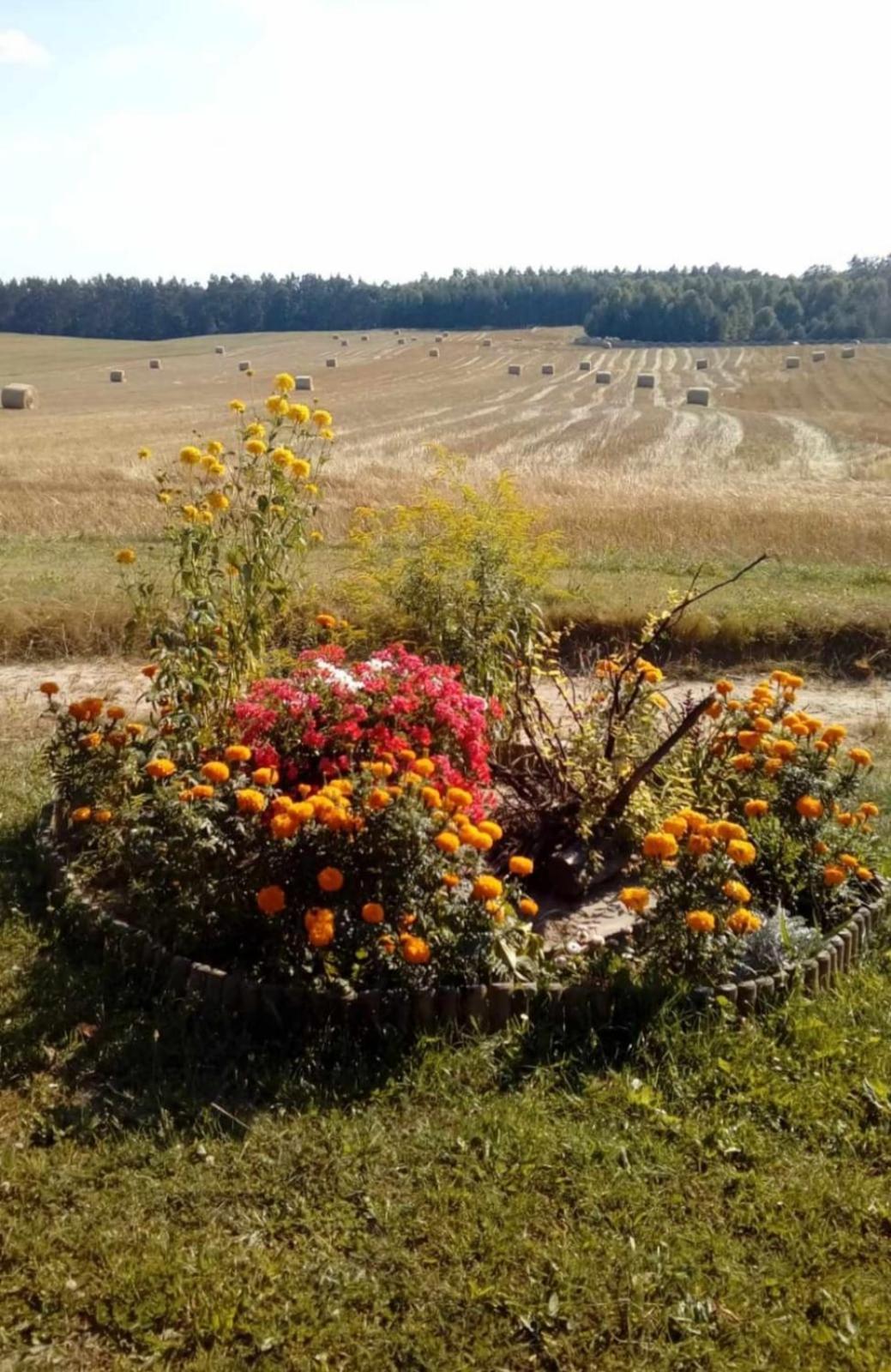Wczasy Na Kaszubach U Hani Apartment *